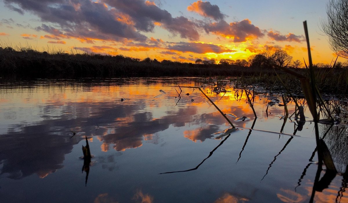 Local Food Festivals in the Broads Region